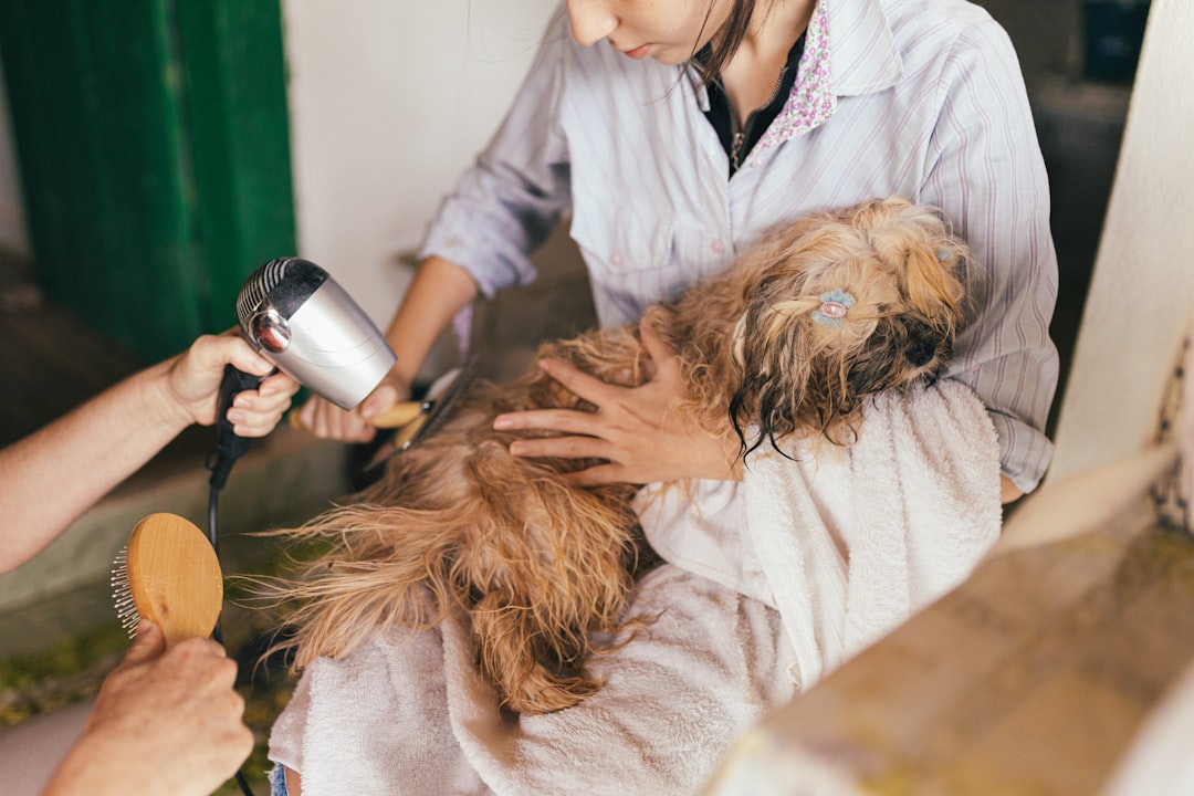 Essential Pet Grooming Tools for a Happy, Healthy Fur Baby