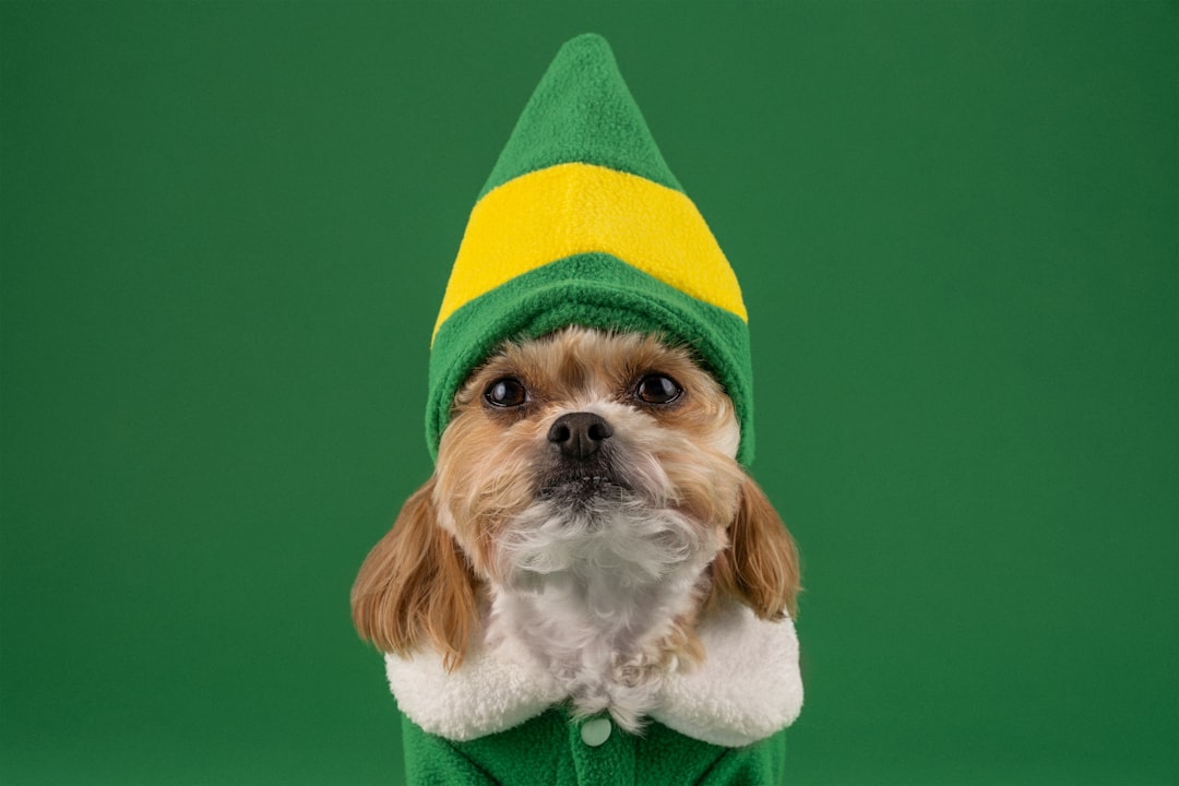 Dress Your Furry Friend: Pet Clothing and Costumes